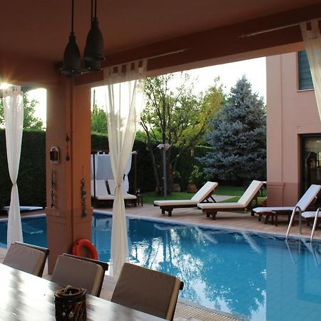 4-Seasons Pool Villa Near Meteora Трикала Екстер'єр фото