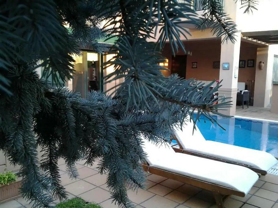 4-Seasons Pool Villa Near Meteora Трикала Екстер'єр фото
