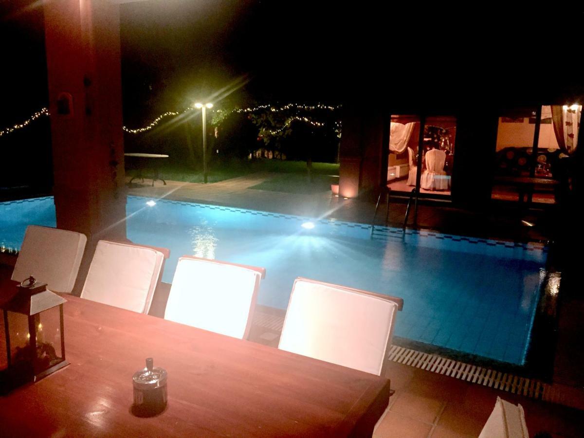 4-Seasons Pool Villa Near Meteora Трикала Екстер'єр фото