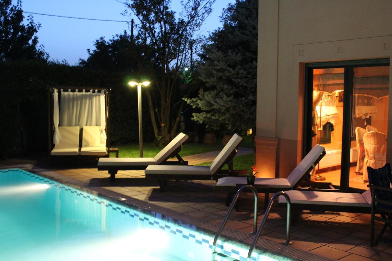 4-Seasons Pool Villa Near Meteora Трикала Екстер'єр фото