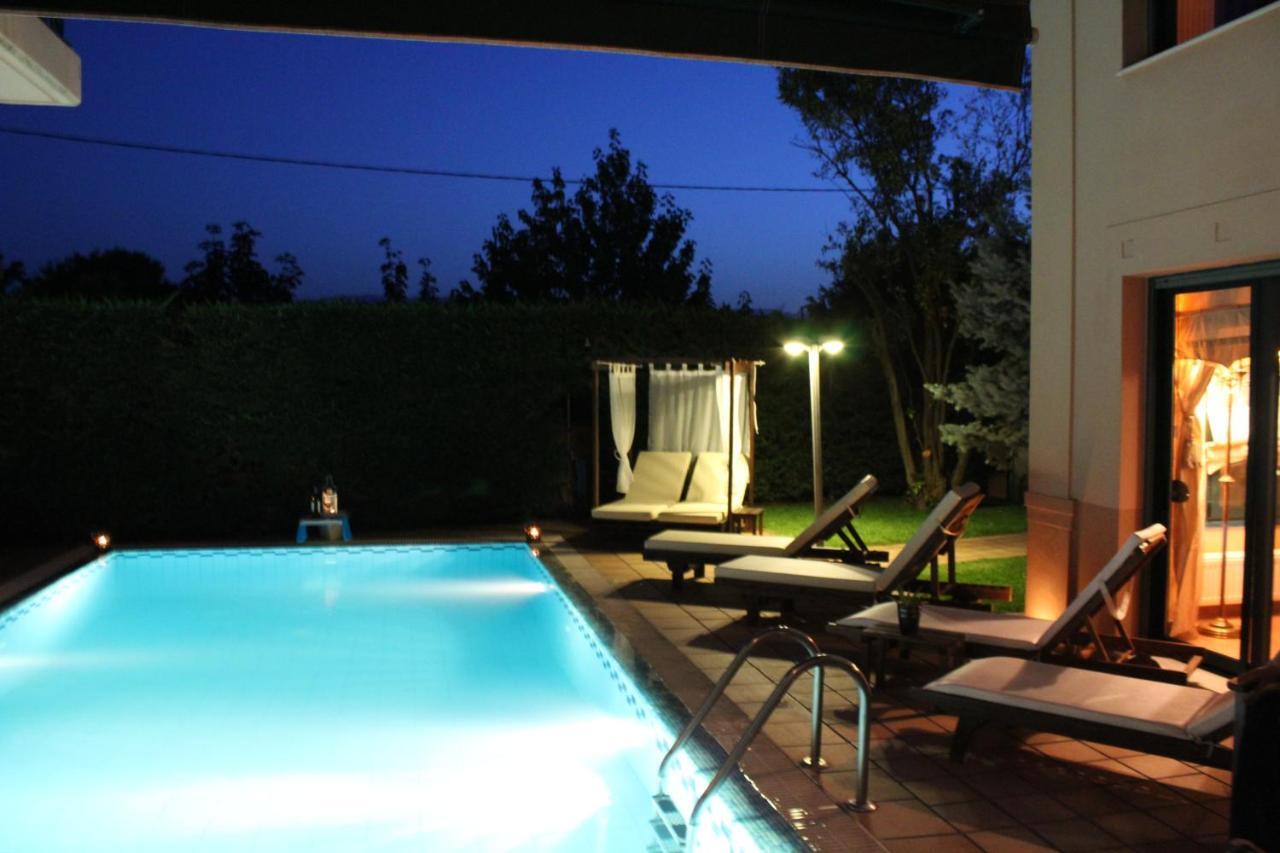 4-Seasons Pool Villa Near Meteora Трикала Екстер'єр фото